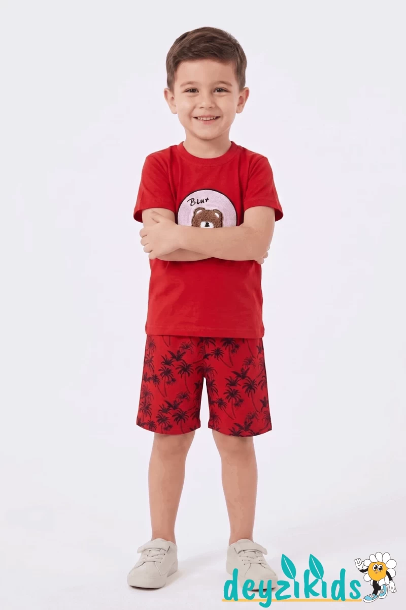 Ayıcık Nakış İşlemeli Kısa Kollu Beli Lastikli T-Shirt Şort Takım 2-3-4-5 Yaş