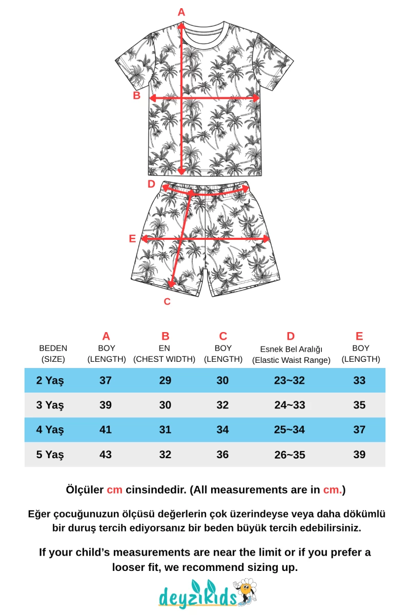 Palmiye Baskılı Kısa Kollu Beli Lastikli T-Shirt Şort Takım 2-3-4-5 Yaş