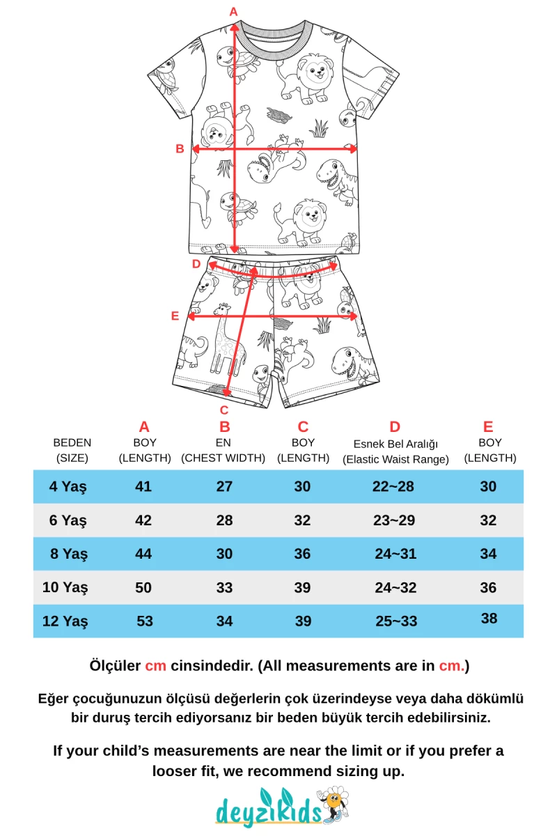 Aslan Kaplumbağ Karekter Baskılı Kısa Kollu Bisiklet Yaka Beli Lastikli T-Shirt Şort Takım 3-4-5-6-7-8-9-10-11-12 Yaş