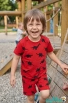 Dinozor Baskılı Kısa Kollu Bisiklet Yaka Beli Lastikli T-Shirt Şort Takım 2-3-4-5 Yaş